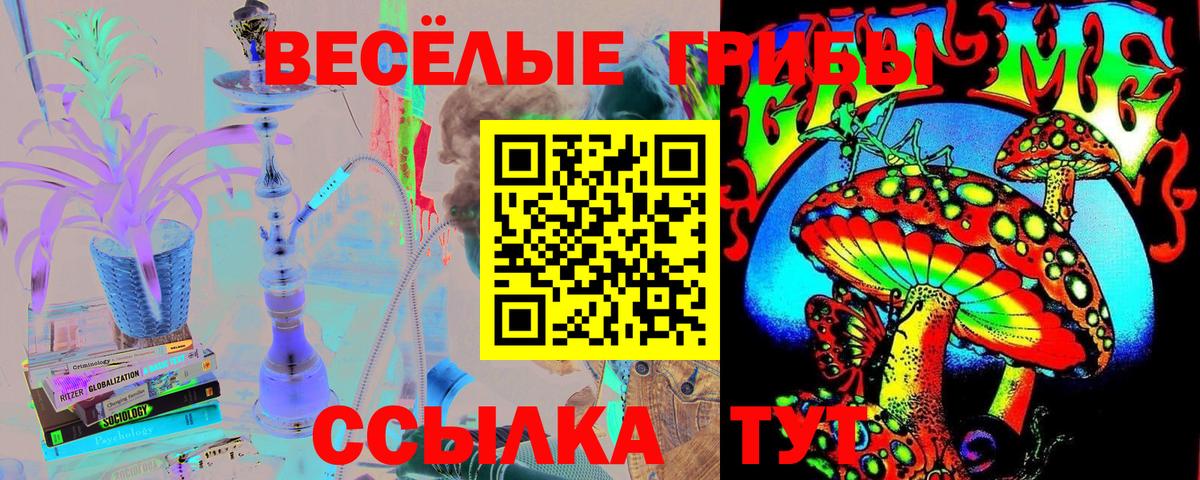 Псилоцибиновые грибы ЛСД Елабуга